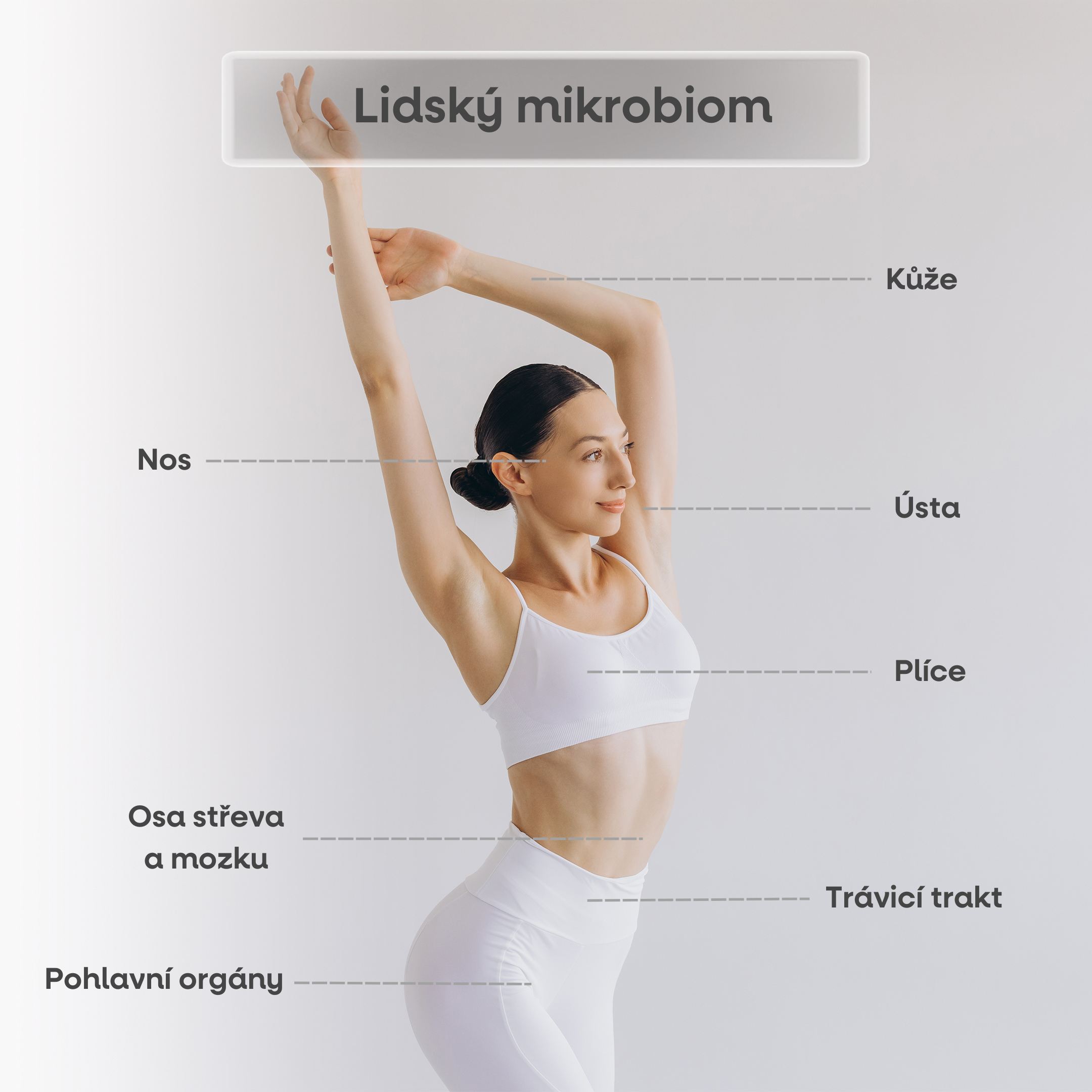 lidksy mikrobiom